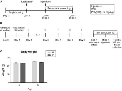 Intermittent Fasting Exacerbates the Acute Immune and Behavioral Sickness Response to the Viral Mimic Poly(I:C) in Mice